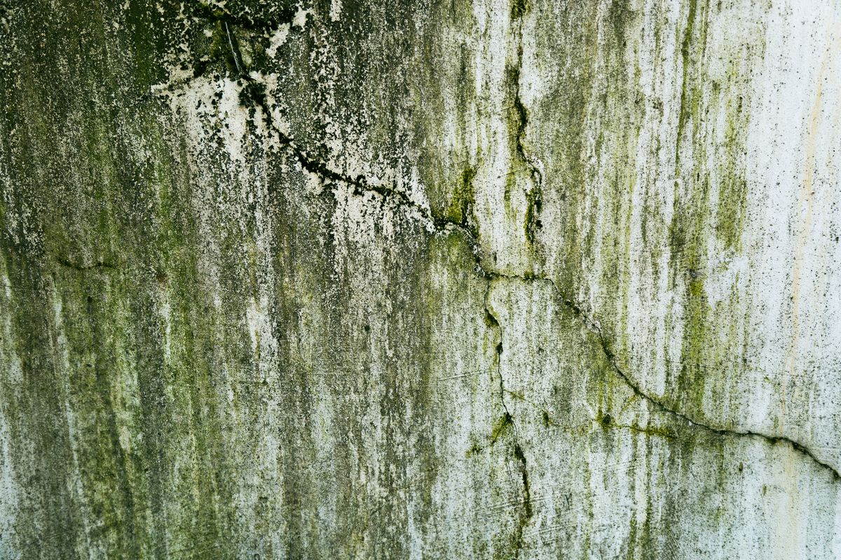 Mold & Air Quality Inspections 2